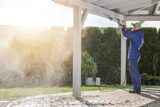 Best Soft Washing  in Kaufman, TX