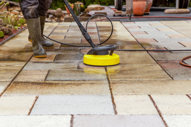 Best Animal Enclosure Cleaning  in Kaufman, TX