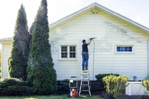 Best Graffiti Removal  in Kaufman, TX